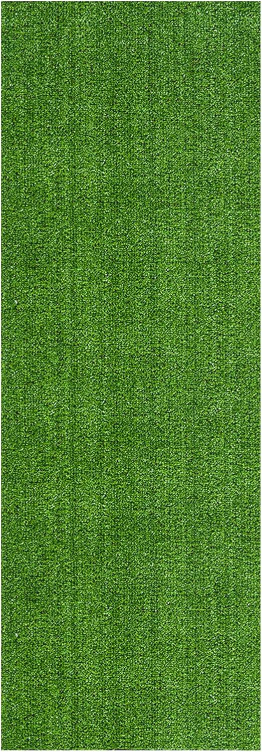 Astarin Artificial Grass Outdoor Runner Rug 2'7" x 10' – Waterproof Astro Turf with Drainage Holes – Patio & Lawn Decoration, Easy-Clean Dog Grass Mat